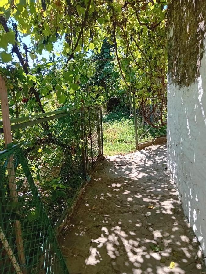 Stone Pazar Guest House Gjirokastër Exterior foto